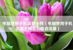电脑使用手机流量上网（电脑使用手机流量上网怎么能省流量）