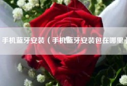 手机蓝牙安装（手机蓝牙安装包在哪里）