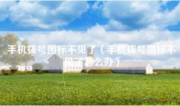 手机拨号图标不见了（手机拨号图标不见了怎么办）