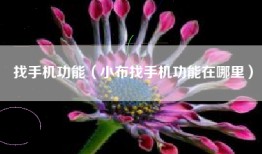 找手机功能（小布找手机功能在哪里）