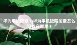 华为手机隐藏（华为手机隐藏按键怎么设置在哪里）