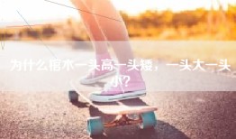 为什么棺木一头高一头矮，一头大一头小？