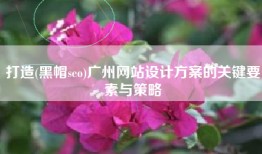 打造(黑帽seo)广州网站设计方案的关键要素与策略