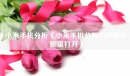 小米手机分析（小米手机分析与改进在哪里打开）