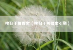 搜狗手机搜索（搜狗手机搜索引擎）