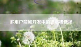 多用户商城开发中的技术栈选择