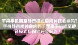 苹果手机调至静音模式后闹钟还会响吗？手机静音闹钟会响吗「苹果手机调至静音模式后闹钟还会响吗？」