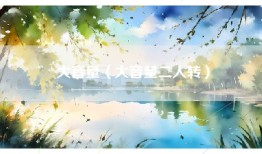 大音量（大音量二人转）