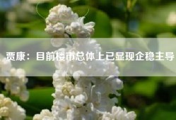 贾康：目前楼市总体上已显现企稳主导