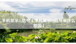 手机显示2g信号（手机显示2g信号是什么原因）