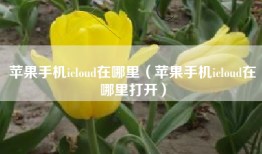苹果手机icloud在哪里（苹果手机icloud在哪里打开）