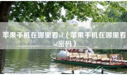 苹果手机在哪里看id（苹果手机在哪里看id密码）