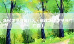 新媒体投放是什么（解读新媒体投放的广告）