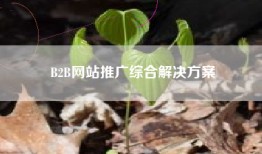 B2B网站推广综合解决方案