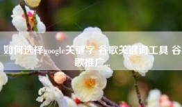 如何选择google关键字 谷歌关键词工具 谷歌推广...