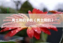 男士用的手机（男士用的）