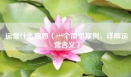 运营什么意思（一个简单案例，详解运营含义）
