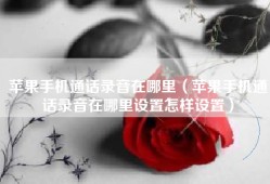 苹果手机通话录音在哪里（苹果手机通话录音在哪里设置怎样设置）