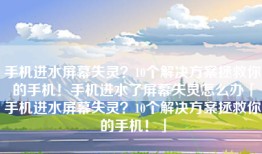 手机进水屏幕失灵？10个解决方案拯救你的手机！手机进水了屏幕失灵怎么办「手机进水屏幕失灵？10个解决方案拯救你的手机！」