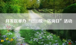 开发区举办“12333统一咨询日”活动