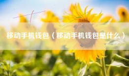 移动手机钱包（移动手机钱包是什么）