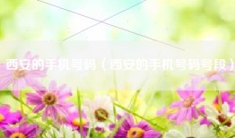 西安的手机号码（西安的手机号码号段）