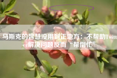 马斯克的智慧没用到正地方：不帮助Twitter解决问题反而“帮倒忙”