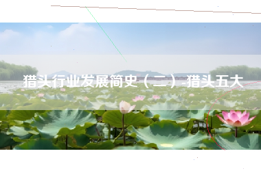 猎头行业发展简史(二)-猎头五大 猎头行业发展简史(二)-猎头五大