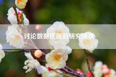 讨论数据挖掘的研究现状