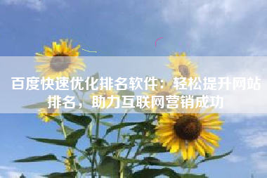 百度快速优化排名软件：轻松提升网站排名，助力互联网营销成功