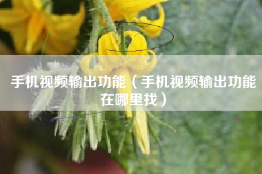 手机视频输出功能（手机视频输出功能在哪里找）