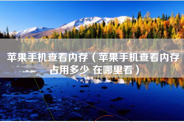 苹果手机查看内存（苹果手机查看内存占用多少 在哪里看）