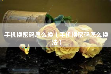 手机换密码怎么换（手机换密码怎么换法）