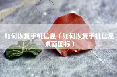 如何恢复手机信息（如何恢复手机信息桌面图标）