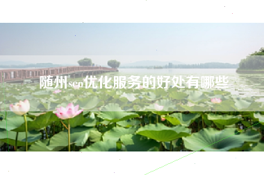 随州seo优化服务的好处有哪些