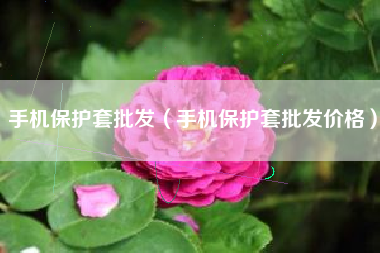 手机保护套批发（手机保护套批发价格）