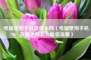 电脑使用手机流量上网（电脑使用手机流量上网怎么能省流量）