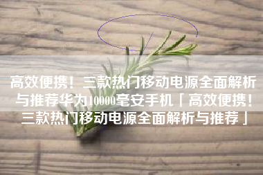 高效便携！三款热门移动电源全面解析与推荐华为10000毫安手机「高效便携！三款热门移动电源全面解析与推荐」
