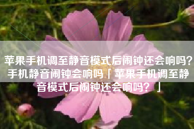 苹果手机调至静音模式后闹钟还会响吗？手机静音闹钟会响吗「苹果手机调至静音模式后闹钟还会响吗？」